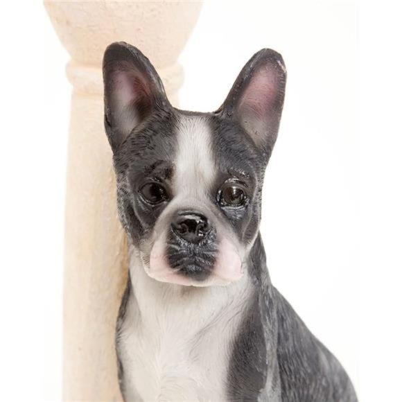 Solar Boston Terrier Lantern-Solar Powered Garden Lantern - Resin Dog Sculpture - Picture 5 of 5